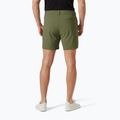 Helly Hansen Move Quick-Dry 6" lav green trekking shorts 2