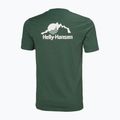 Men's Helly Hansen Nord Graphic jungle green T-shirt 5
