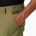 Helly Hansen men's softshell trousers Brono Softshell Zip Off terrain green 3