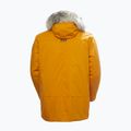 Men's winter jacket Helly Hansen Reine Parka mustard 2
