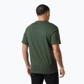 Men's Helly Hansen Box T 2.0 jungle green T-shirt 2