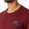 Men's Helly Hansen Nord Graphic t-shirt mars red 3