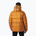 Men's insulated jacket Helly Hansen Active Winter mustard 2