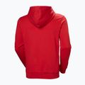 Men's sweatshirt Helly Hansen HH Logo Hoodie red 6