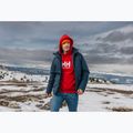 Men's sweatshirt Helly Hansen HH Logo Hoodie red 7