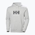 Men's sweatshirt Helly Hansen HH Logo Hoodie grey/melange 5