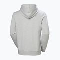 Men's sweatshirt Helly Hansen HH Logo Hoodie grey/melange 6