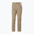 Men's trekking trousers Helly Hansen Holmen 5 Pocket pebble 5