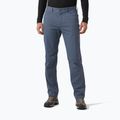 Men's trekking trousers Helly Hansen Holmen 5 Pocket alpine frost