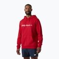 Men's sweatshirt Helly Hansen Core Graphic Hoodie red
