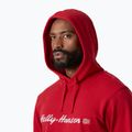 Men's sweatshirt Helly Hansen Core Graphic Hoodie red 3