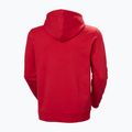 Men's sweatshirt Helly Hansen Core Graphic Hoodie red 6