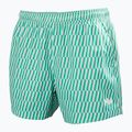 Men's sailing shorts Helly Hansen Newport Trunk 4.5" dark mint offset stripe ao