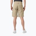 Men's sailing shorts Helly Hansen Crewline 2.0 pebble 2