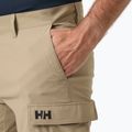 Men's sailing shorts Helly Hansen QD Cargo 11" pebble 3