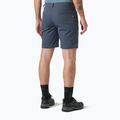 Men's trekking shorts Helly Hansen Holmen 5 Pocket alpine frost 2