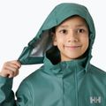 Children's sailing jacket Helly Hansen Moss opal green 3
