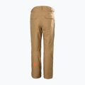 Men's ski trousers Helly Hansen Sogn Cargo elmwood 7
