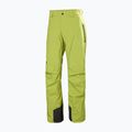 Men's ski trousers Helly Hansen Legendary Insulated pulse green