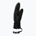 Ski gloves Helly Hansen Alpha Mittens black placeholder 2