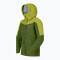Men's rain jacket NORRONA Falketind Dri1 pesto/goldem lime 8