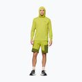 Men's trekking sweatshirt NORRONA Femund Tech Hood golden lime 2