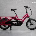Electric bike Tern GSD S10 Cargo Lina purple 15