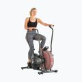 Schwinn Airdyne Ad2I air bike 100430 2