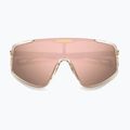 Carrera 4017/S men's crystal beige/rose gold multilayer sunglasses 4