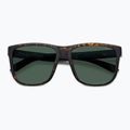 Polaroid PLD 2155/S men's matte brown havana/green polarised sunglasses 4