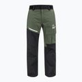 Men's ski trousers HEAD Race Nova green 821312
