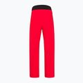 Men's ski trousers HEAD Summit red 821622 2