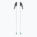 Ski poles HEAD Worldcup SL white/black/speed blue