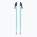 Ski poles HEAD Worldcup SL speed blue/black/white