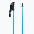 Ski poles HEAD Worldcup SL speed blue/black/white 3