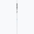 Ski poles HEAD Worldcup Rebels Carbon white 2