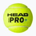 HEAD Padel Pro+ padel balls 3 pcs. yellow 3