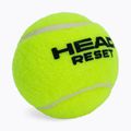 HEAD Reset Polybag tennis balls 72 pcs green 575030 3