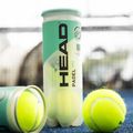 HEAD Padel One S padel balls 3 pcs. yellow 2