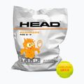 HEAD Tip Orange 72 children's tennis balls orange and green 578270