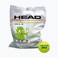 HEAD Tip Green 72 children's tennis balls green 578280