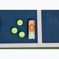 HEAD Stage 2 children's tennis balls 3 pcs orange 4