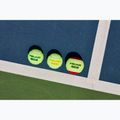HEAD Stage 2 children's tennis balls 3 pcs orange 5