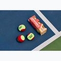 HEAD Stage 3 children's tennis balls 3 pcs red 4