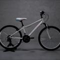 Children's bicycle Romet Jolene 24 white 2224608 14