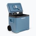 Igloo IE42 ACDC 42 l ice blue tourist fridge 9