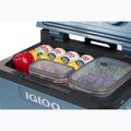 Igloo IE42 ACDC 42 l ice blue tourist fridge 12