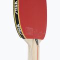 STIGA Evolve 1-Star table tennis racket 5