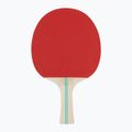 STIGA Hobby Clash table tennis racket