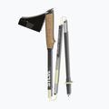 Running poles Silva Running Poles Carbon Z Fixed black 2